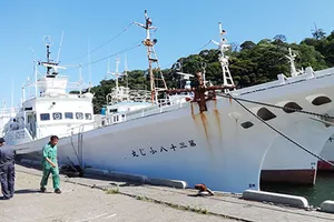 Đầu tư 100 con tàu cùng ngư dân bám biển