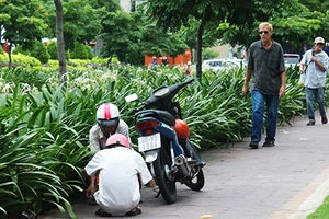 Báo động con nghiện gây án