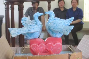 Kẻ buôn người mang đôi “thiên nga” đến tòa… cầu hôn