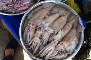 Mực lạ khiến người tiêu dùng lo lắng