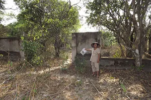 Để di tích không thành phế tích