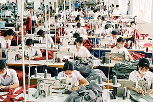 Đừng than phiền, cải tạo mình để phát triển