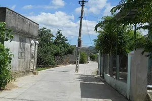 Bẫy trụ điện giữa đường