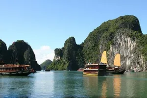 Bitexco được quản lý vịnh Hạ Long?