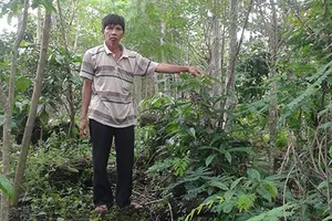 Ủy ban không gia hạn quyền sử dụng đất