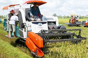 Dân mừng vì trúng giá gạo vụ hè thu