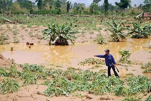 Vỡ đập thủy điện Ia Krel 2: Dừng thi công