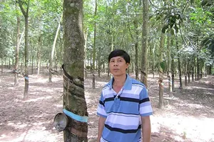 Phó chánh văn phòng mượn 2 tỉ đồng rồi “mất tích”