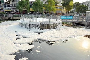 Cá chết, lộ điểm yếu dự án Nhiêu Lộc - Thị Nghè