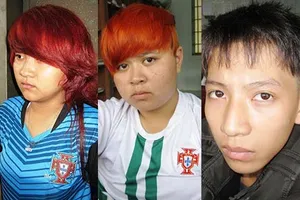 Phá nhanh vụ con cướp tài sản của mẹ