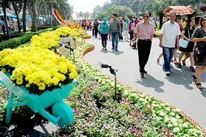 TP.HCM: Đề xuất phương án để nhanh nâng cấp đường Nguyễn Huệ