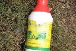 Cha thách thức con tự sát