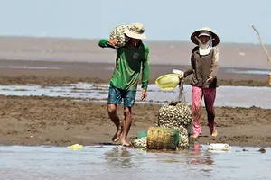 Chủ tịch xã ‘ôm việc’ của HTX sai luật