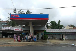 Tổng cục THA: Yêu cầu giao đất cho Phương Trang 