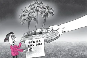 Tòa khổ vì… ba cây dừa
