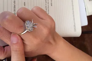 Nghi án mất trộm kim cương tiền tỉ 