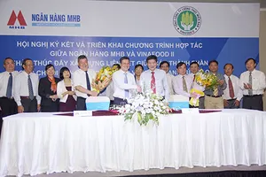 Hình thành chuỗi liên kết kinh doanh lúa gạo