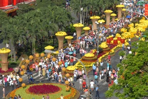 ‘Bốn trong một’ tại đường hoa tết Ất Mùi