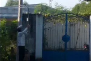 Tận diệt chim sẻ giữa lòng TP Biên Hòa