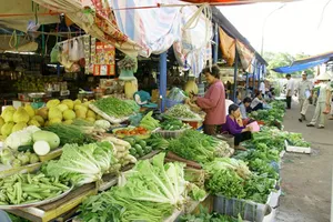 Chưa yên tâm với chất lượng rau tại TP.HCM