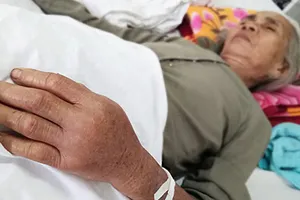 Miền Trung: Rắn độc tràn vào khu dân cư 