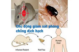 Dịch hạch từ Trung Quốc có thể vào Việt Nam