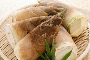 Ăn măng tươi coi chừng... chết tươi 