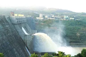 Làm thủy điện không trồng lại rừng, có thể xử lý hình sự