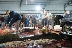Thu hồi giấy phép Cơ sở giết mổ Trung tâm ở quận 12
