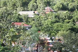 Biệt thự ông Thạch: Bứng gốc hay cắt tỉa?