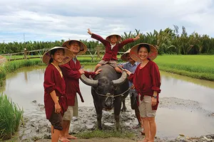 Con muốn về Việt Nam vui Tết!