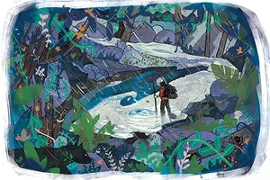 Cơn bão trong rừng