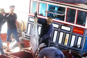 Ngư dân được mùa