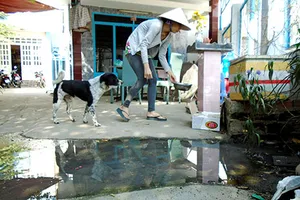 Cống không thoát gây bệnh cả khu phố