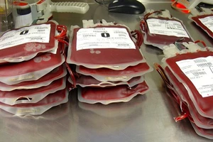 Hỗ trợ máu điều trị cho con chiến sĩ Trường Sa