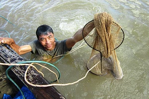 Săn cá ngát ‘khủng’ trên sông Hàm Luông