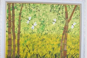 Sắc màu lăng kính của “cô gái đặc biệt” Karishma