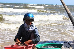 ‘Bà Sa cứu nạn’