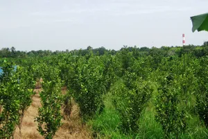 Đề nghị ‘cắt’ dự án lọc dầu 350 triệu USD