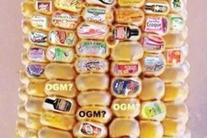 Bao giờ dán nhãn thực phẩm biến đổi gien? 