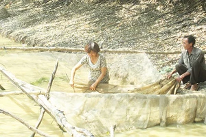 Tình yêu đẹp giữa cánh rừng đầy bom