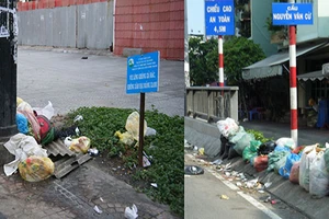 Đổ rác bừa bãi giữa phố