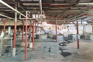 Bất tuân án tòa, thú y phải bồi thường gần 1 tỉ