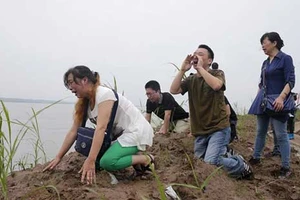 Tổ chức tuần thất bên bờ sông Trường Giang