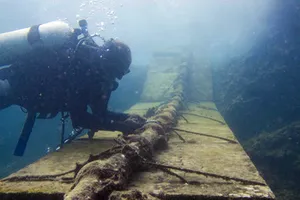 Đứt cáp quang và nỗi oan… cá mập