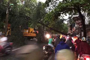 Hà Nội: Giông lốc khủng khiếp, cây đổ, xe lật, nhà bật móng