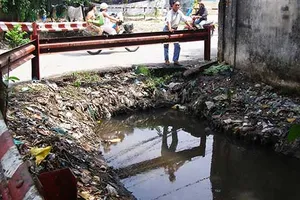 Chế tài tổ chức, cá nhân không tham gia diệt lăng quăng