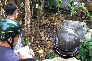 Sốt xuất huyết ở TP.HCM tăng 42%