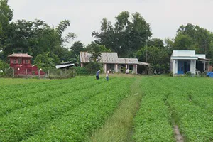 Chuyển công năng ‘hầm đất ‘khủng’ giữa khu dân sinh’