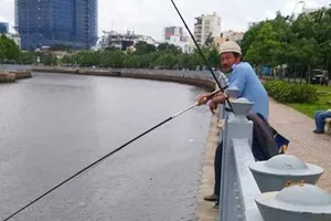 Thà bẻ cần còn hơn câu bên bảng cấm